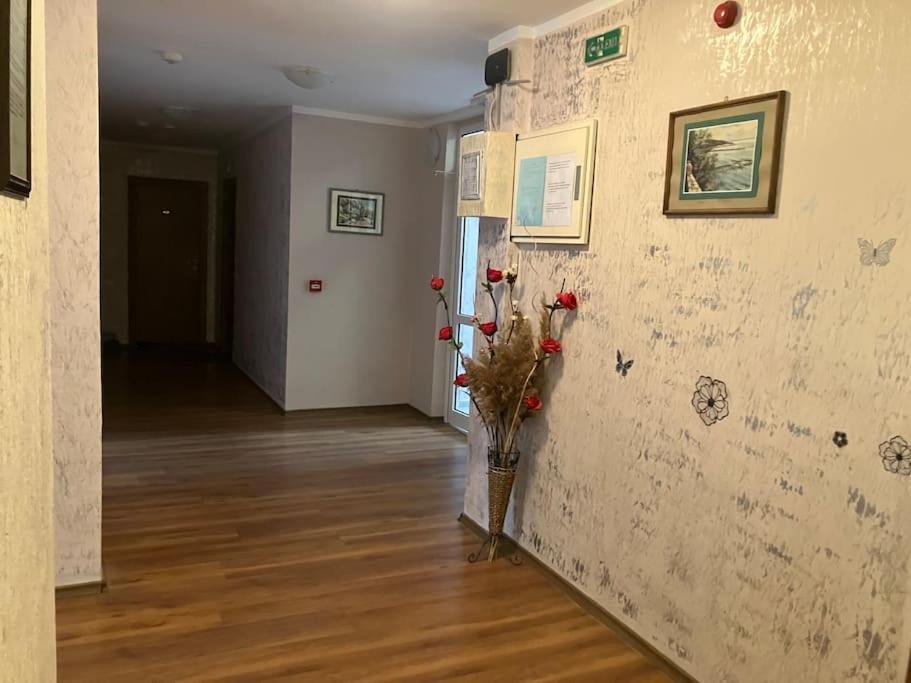 Joy Apartment Sunny Beach Dış mekan fotoğraf